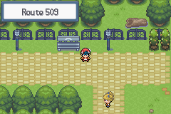 pokemon light platinum route 509
